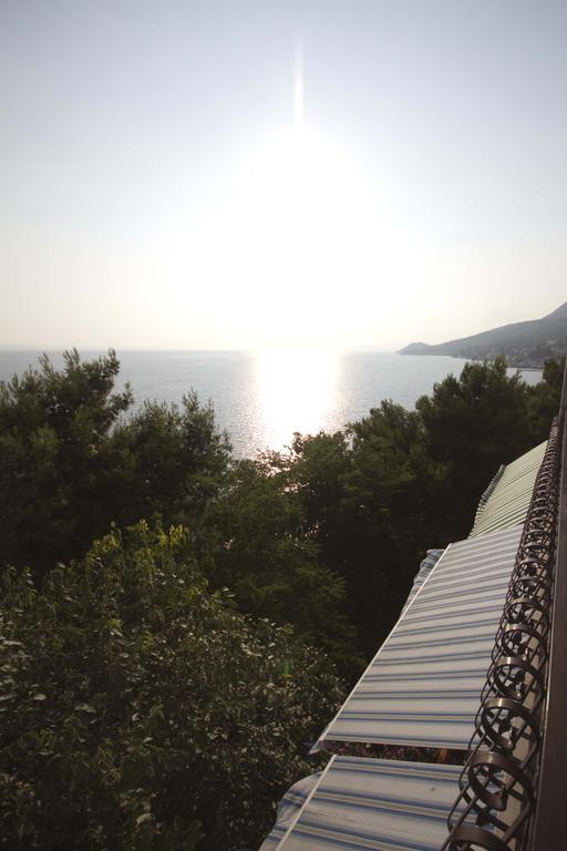Apartma Garac *